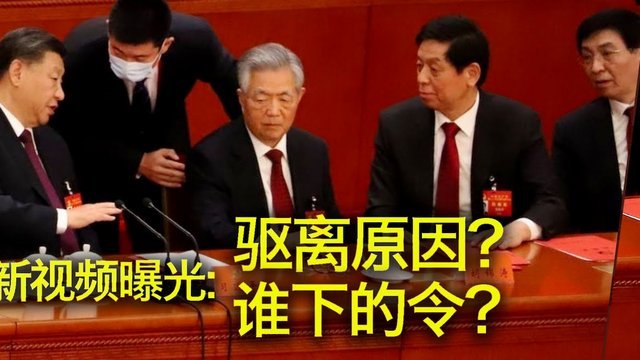 田中碧：防守悍将助日本队强势克敌