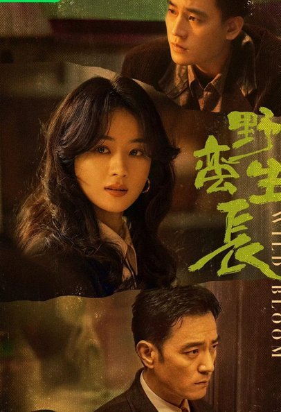 炒作张林峒？替补更值得关注
