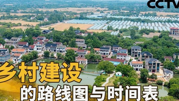 MCN机构：董路看透之道