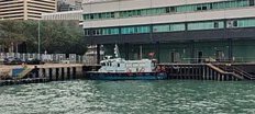 海港亚冠引援：中卫坎波斯加盟 中场格劳租借助阵